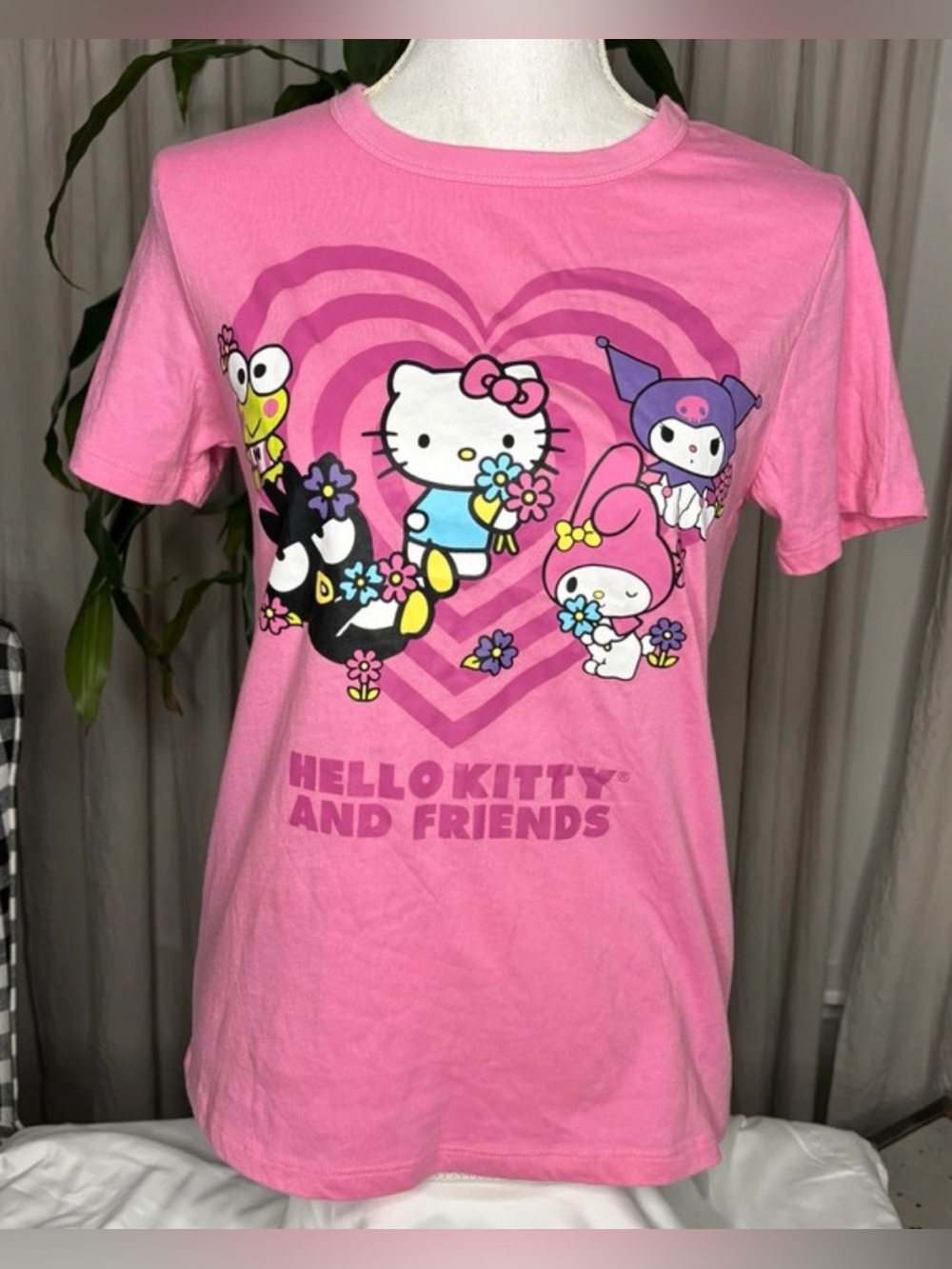 Hello Kitty and Friends Women's Pink Graphic Crew Neck Short Sleeve T-Shirt XS